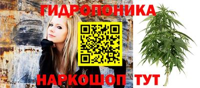 прущая мука Краснокаменск