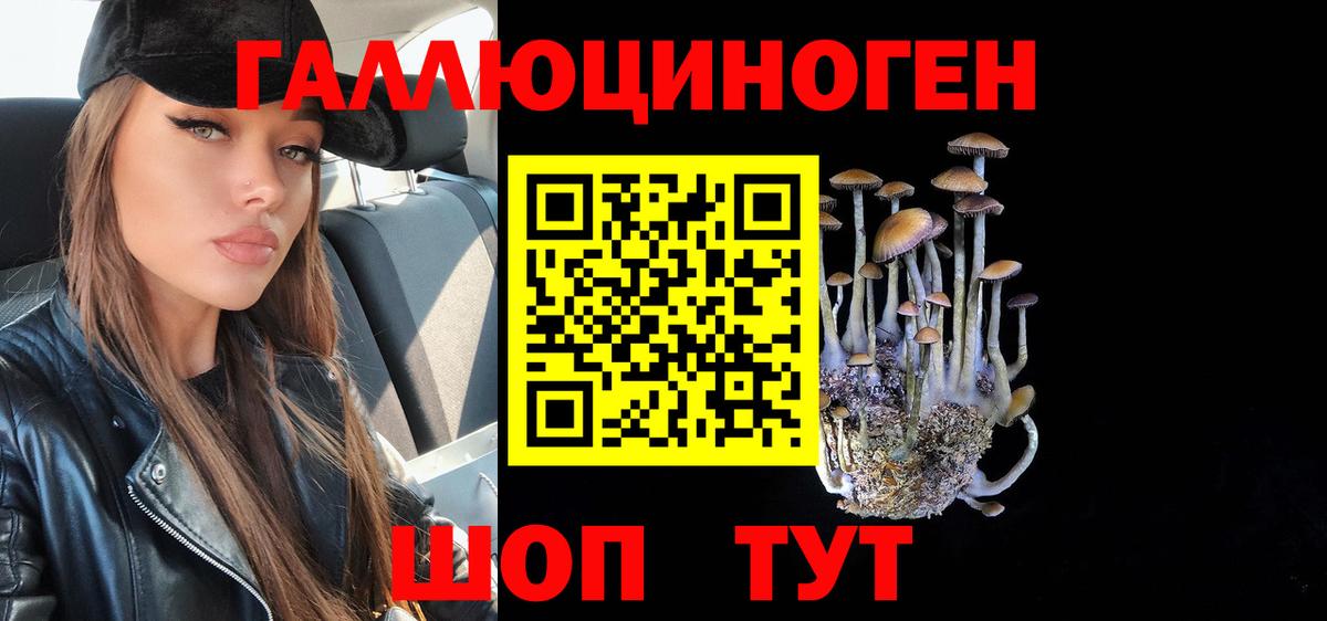 Галлюциногенные грибы мухоморы  Галлюциногенные грибы Psilocybe  Вход с VPN  Кашира 