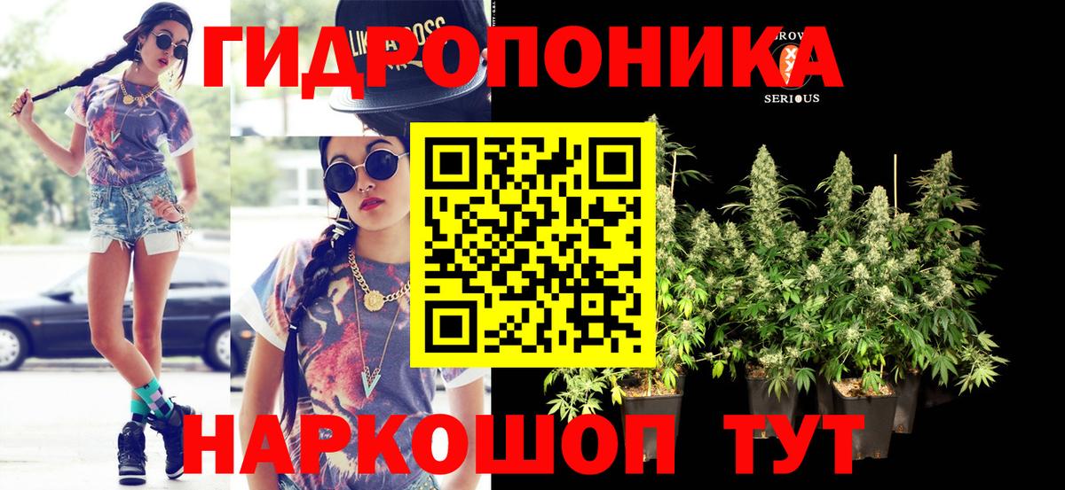 Канабис OG Kush Кашира